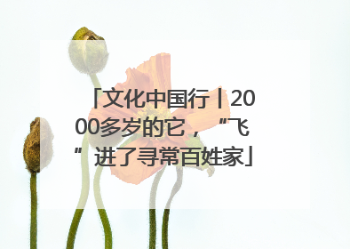 文化中国行丨2000多岁的它，“飞”进了寻常百姓家