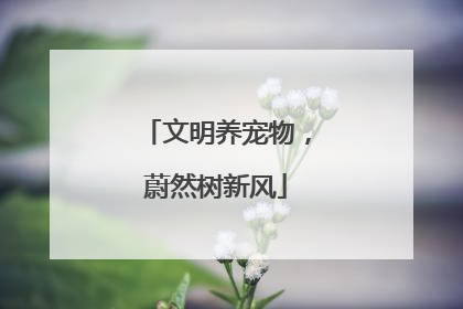 文明养宠物，蔚然树新风