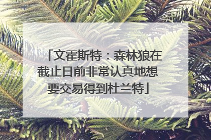 文霍斯特：森林狼在截止日前非常认真地想要交易得到杜兰特