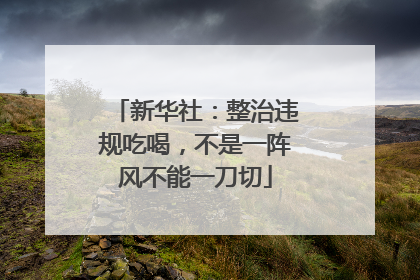新华社：整治违规吃喝，不是一阵风不能一刀切