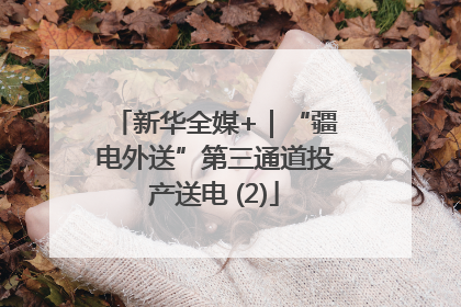 新华全媒+｜“疆电外送”第三通道投产送电 (2)