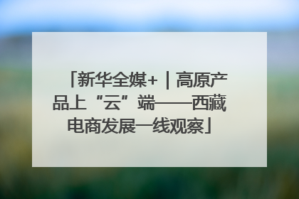 新华全媒+｜高原产品上“云”端——西藏电商发展一线观察
