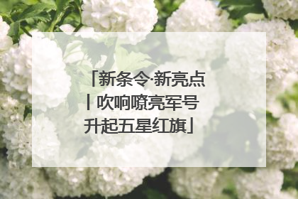 新条令·新亮点丨吹响嘹亮军号 升起五星红旗