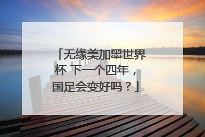 无缘美加墨世界杯 下一个四年，国足会变好吗？
