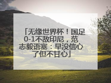 无缘世界杯！国足0-1不敌印尼，范志毅语塞：早没信心了但不甘心