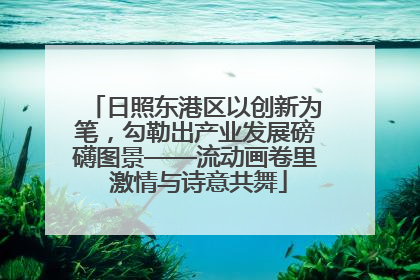 日照东港区以创新为笔，勾勒出产业发展磅礴图景——流动画卷里 激情与诗意共舞