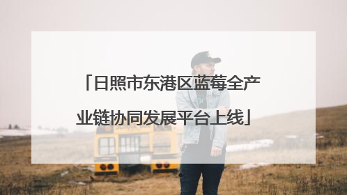 日照市东港区蓝莓全产业链协同发展平台上线