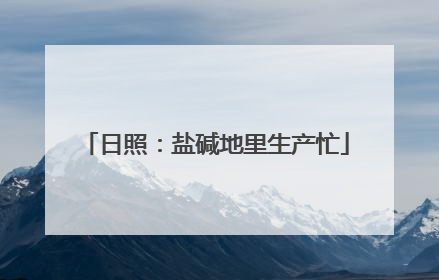 日照：盐碱地里生产忙