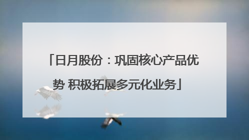 日月股份：巩固核心产品优势 积极拓展多元化业务