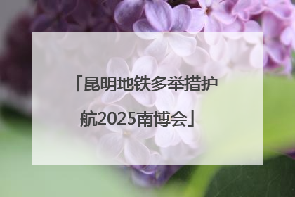 昆明地铁多举措护航2025南博会