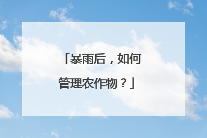 暴雨后，如何管理农作物？