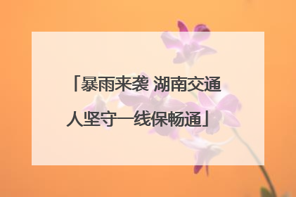暴雨来袭 湖南交通人坚守一线保畅通