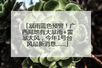 暴雨蓝色预警！广西局地有大暴雨+雷暴大风，今年1号台风最新消息……