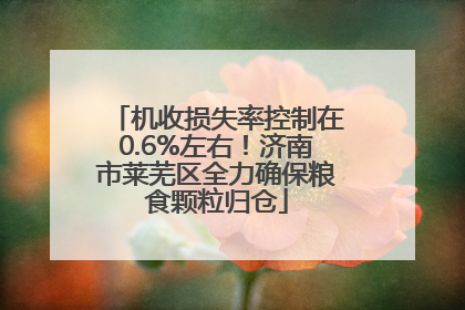 机收损失率控制在0.6%左右！济南市莱芜区全力确保粮食颗粒归仓