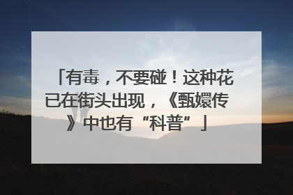 有毒，不要碰！这种花已在街头出现，《甄嬛传》中也有“科普”