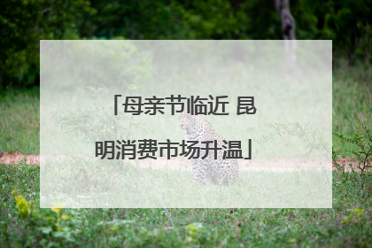 母亲节临近 昆明消费市场升温