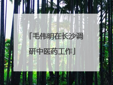 毛伟明在长沙调研中医药工作