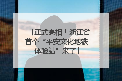 正式亮相！浙江省首个“平安文化地铁体验站”来了
