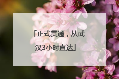 正式贯通，从武汉3小时直达