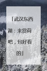 武汉东西湖：来赏荷吧，包好看的