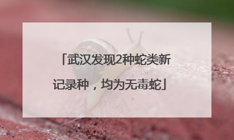 武汉发现2种蛇类新记录种，均为无毒蛇