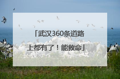 武汉360条道路上都有了！能救命