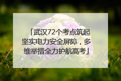 武汉72个考点筑起坚实电力安全屏障，多维举措全力护航高考