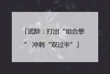 武陟：打出“组合拳” 冲刺“双过半”