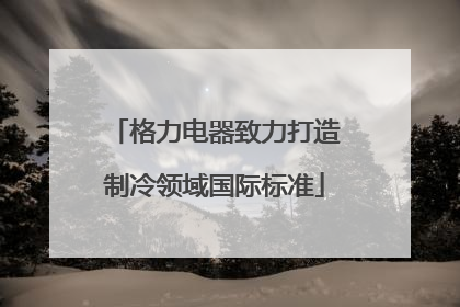 格力电器致力打造制冷领域国际标准
