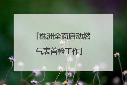 株洲全面启动燃气表首检工作