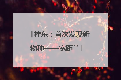 桂东：首次发现新物种——宽距兰