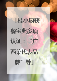 桂小厨获餐宝典多项认证：“广西菜代表品牌”等