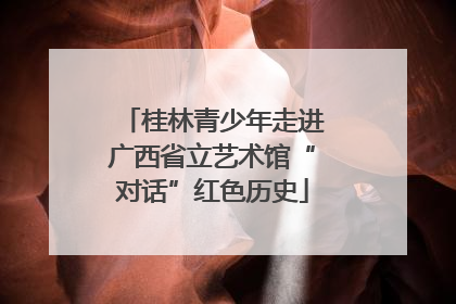 桂林青少年走进广西省立艺术馆“对话”红色历史