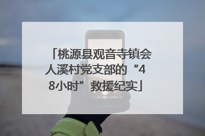桃源县观音寺镇会人溪村党支部的“48小时”救援纪实