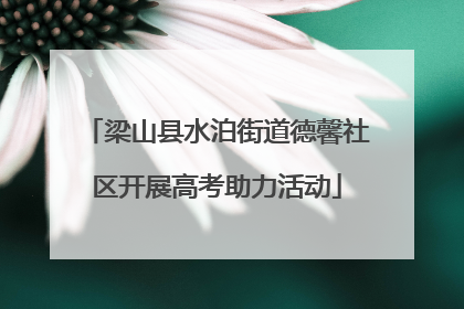梁山县水泊街道德馨社区开展高考助力活动