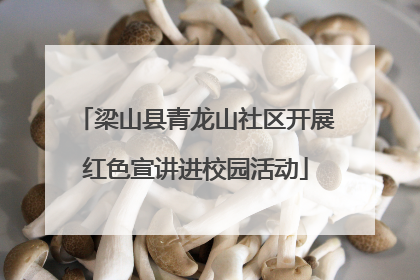 梁山县青龙山社区开展红色宣讲进校园活动