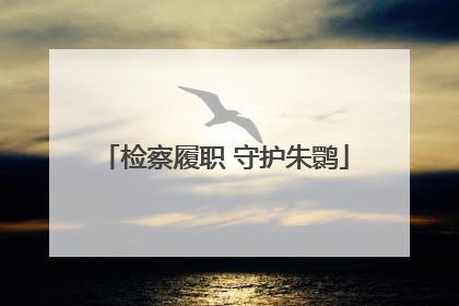 检察履职 守护朱鹮