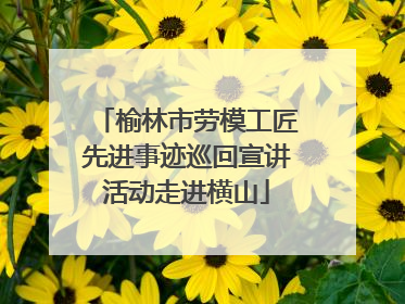 榆林市劳模工匠先进事迹巡回宣讲活动走进横山