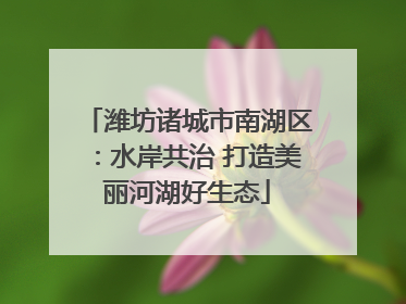 潍坊诸城市南湖区：水岸共治 打造美丽河湖好生态