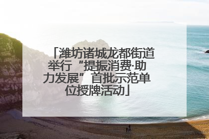 潍坊诸城龙都街道举行“提振消费·助力发展”首批示范单位授牌活动