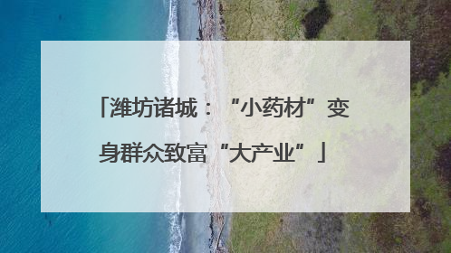 潍坊诸城：“小药材”变身群众致富“大产业”