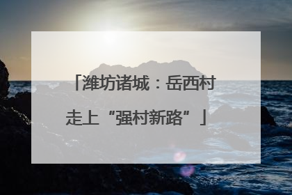 潍坊诸城：岳西村走上“强村新路”