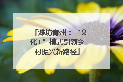 潍坊青州：“文化+”模式引领乡村振兴新路径