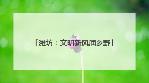 潍坊：文明新风润乡野