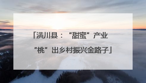 潢川县：“甜蜜”产业  “桃”出乡村振兴金路子