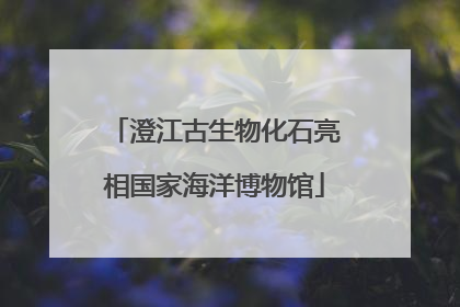 澄江古生物化石亮相国家海洋博物馆