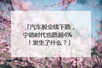 汽车股全线下跌，宁德时代也跌超4%！发生了什么？