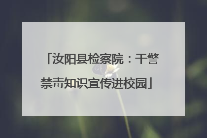 汝阳县检察院：干警禁毒知识宣传进校园