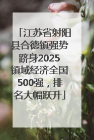 江苏省射阳县合德镇强势跻身2025镇域经济全国500强，排名大幅跃升