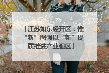 江苏如东经开区：惟“新”图强以“新”提质推进产业强区